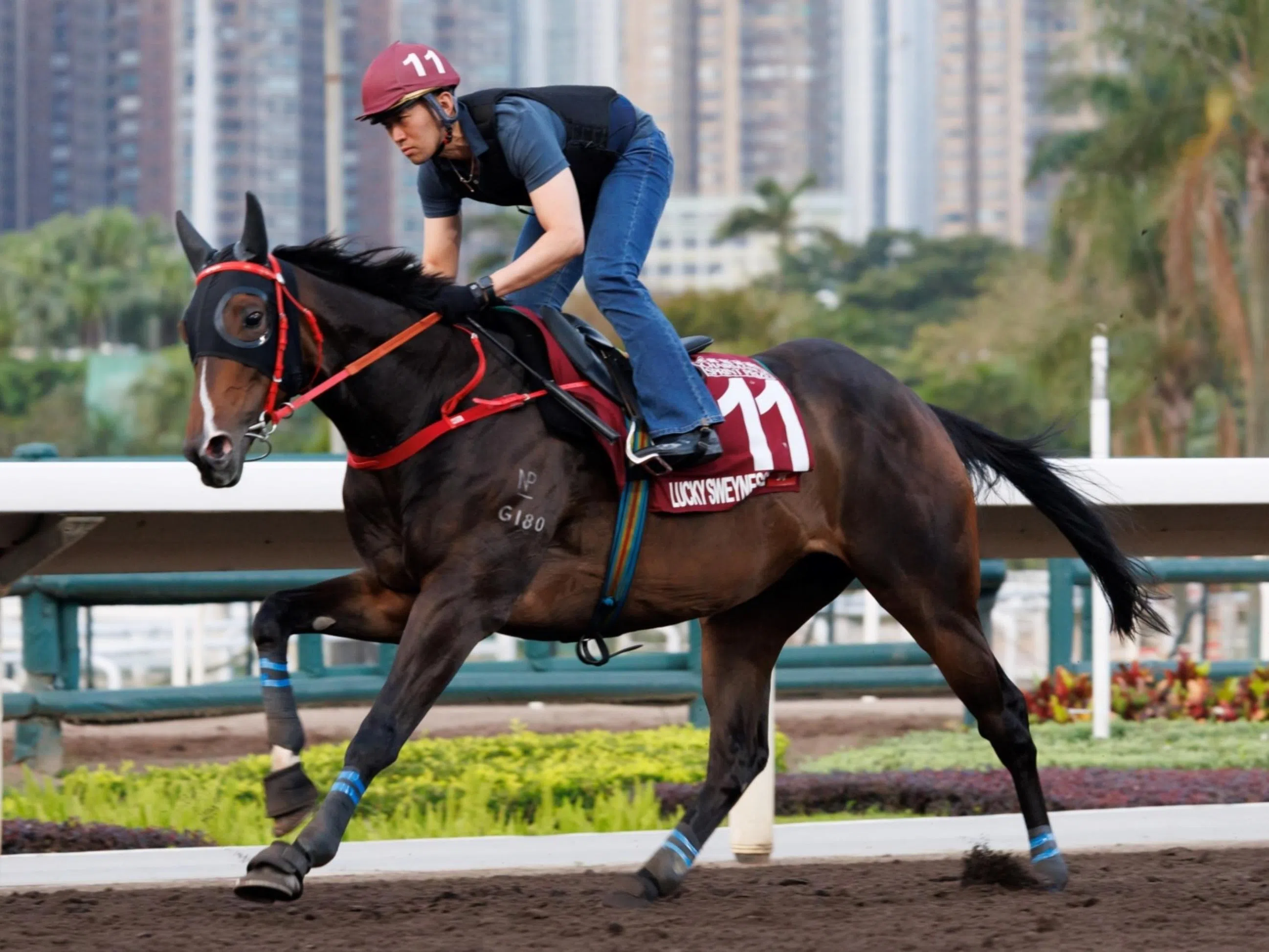 Patience key to Lucky Sweynesse's comeback | The New Paper